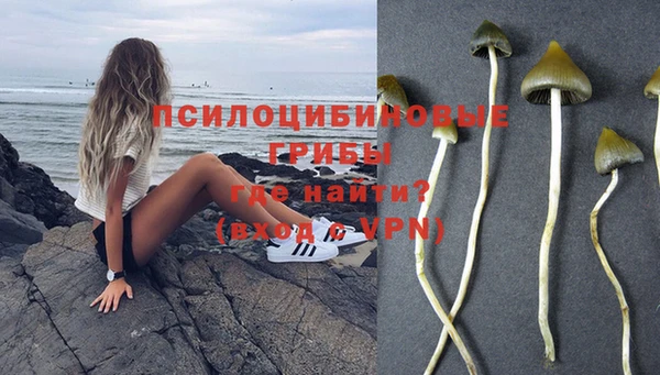 меф Абаза