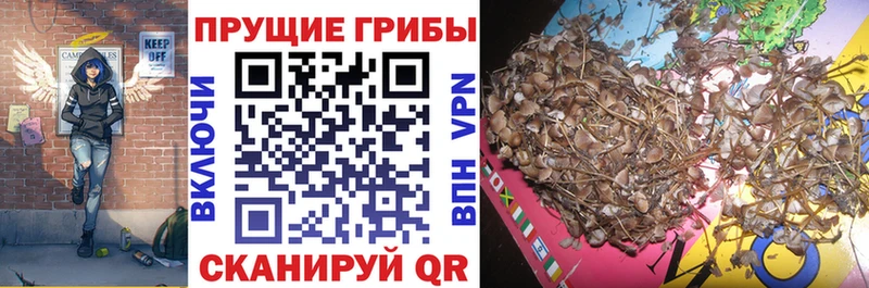 Псилоцибиновые грибы MAGIC MUSHROOMS  Нефтекамск 